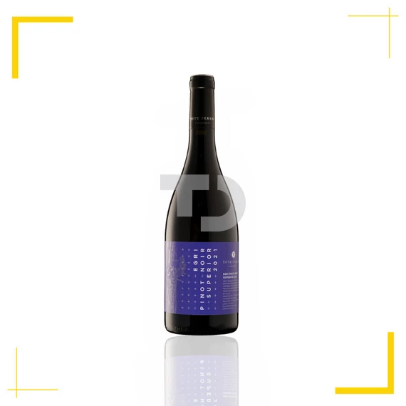 Tóth Ferenc Pinot Noir Superior 2021