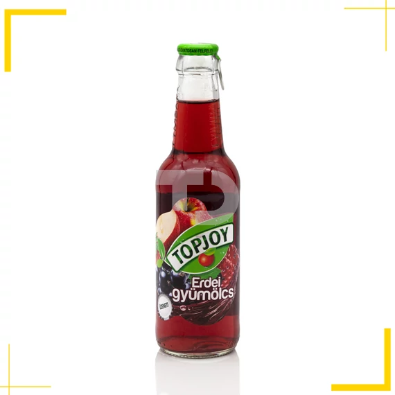 Topjoy Erdei gyümölcs (0,25L)