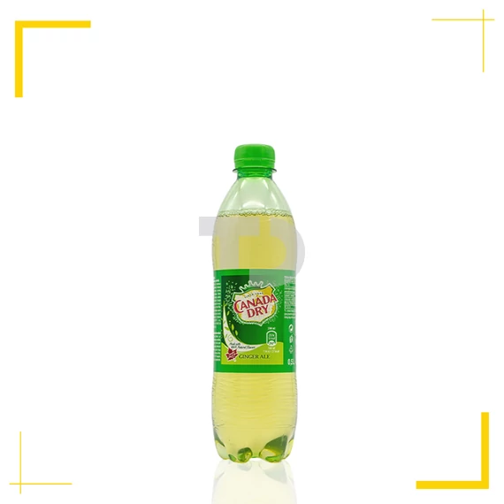 Canada Dry (0,5L)